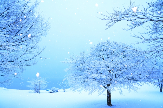 最強寒波がくれた思いがけない旅